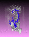 Fig. 9
