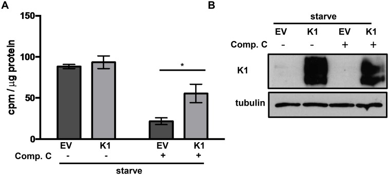 Fig 8