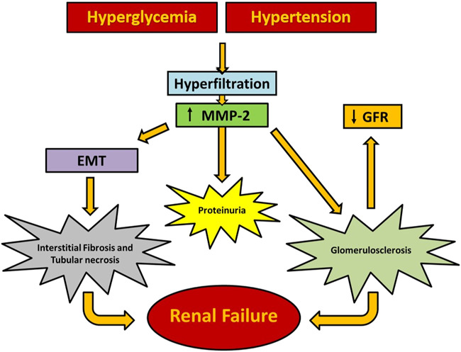 FIGURE 11.