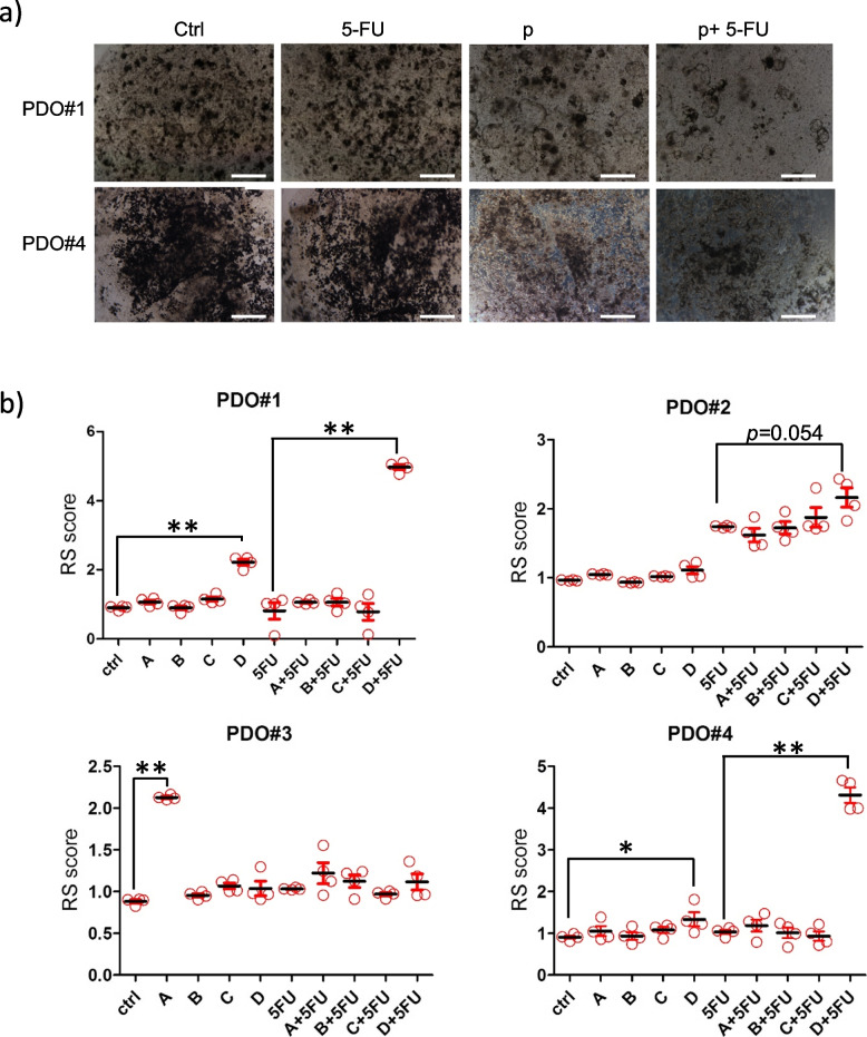 Fig. 4