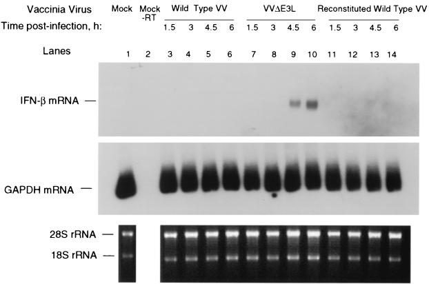 FIG. 5.