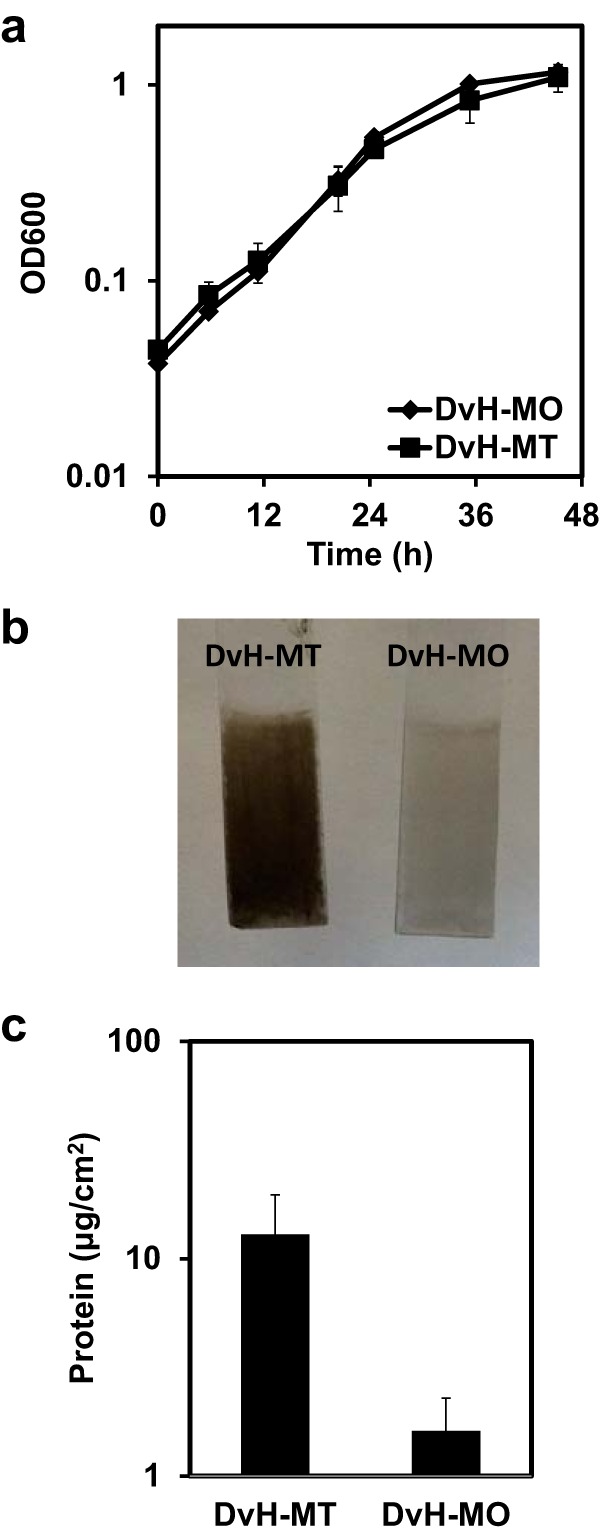 FIG 1 