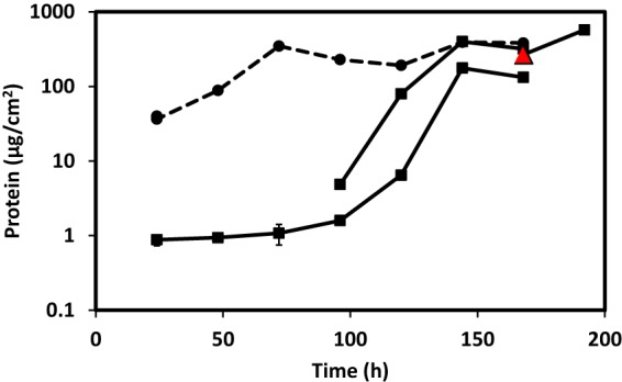 FIG 2 