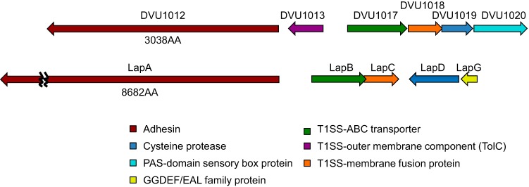 FIG 6 