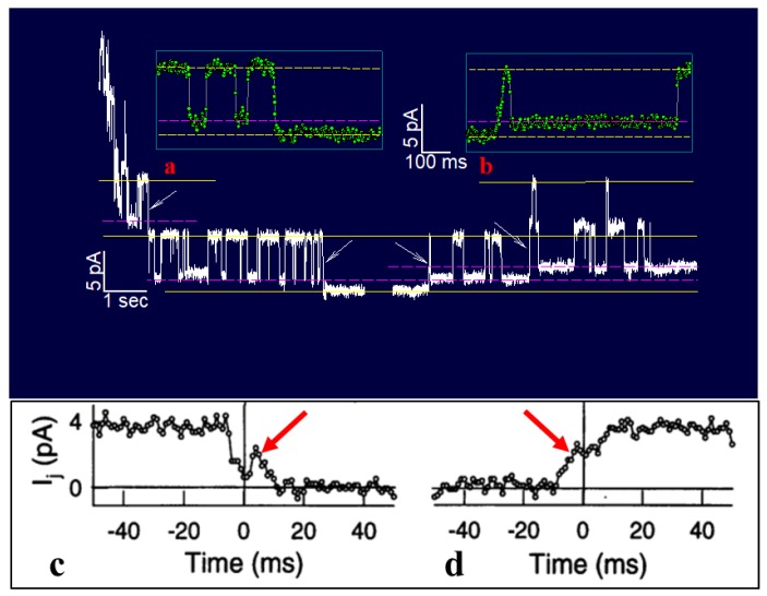 Figure 12