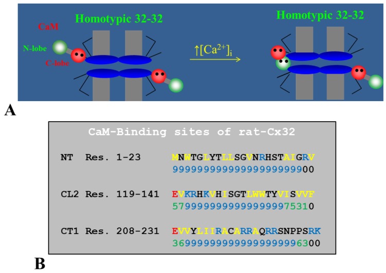 Figure 17