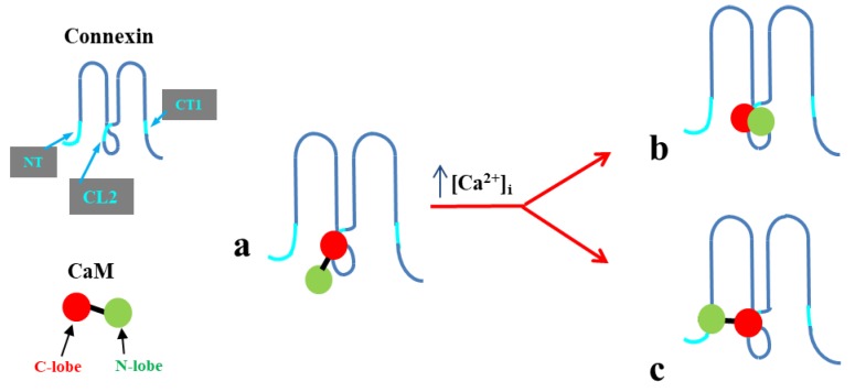 Figure 19