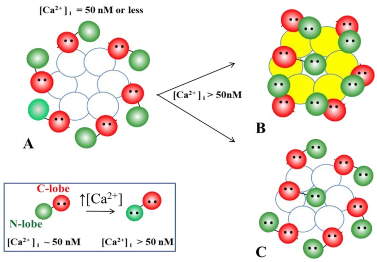 Figure 20