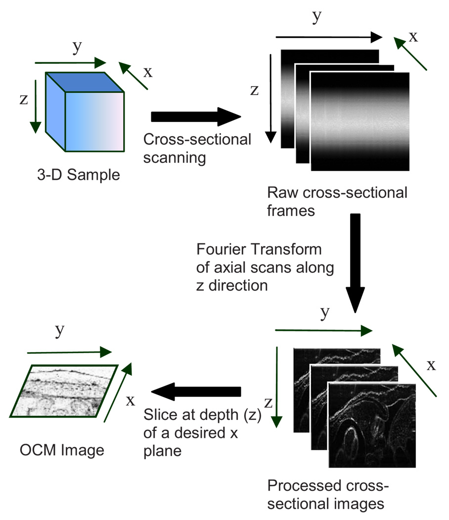 Fig. 2