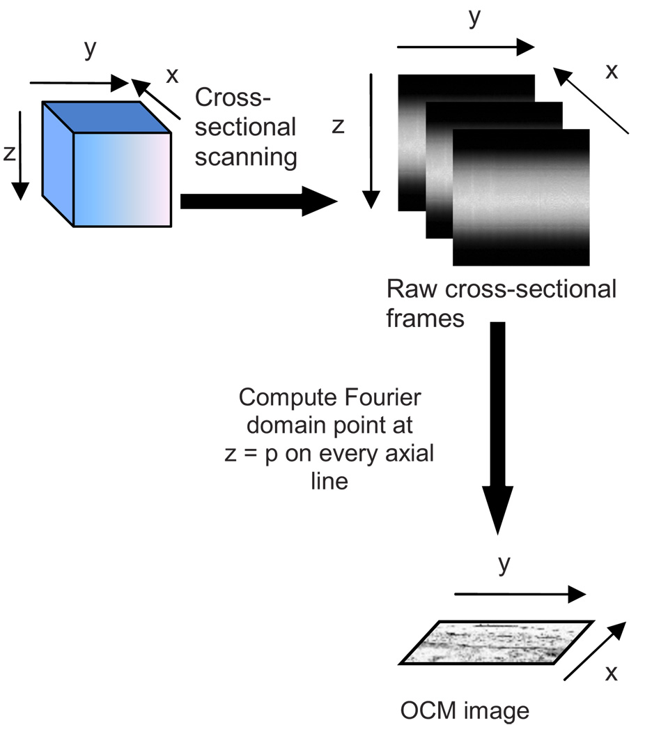 Fig. 3