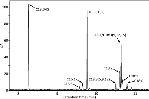 Fig. 4.