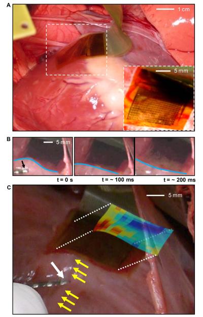 Fig. 3