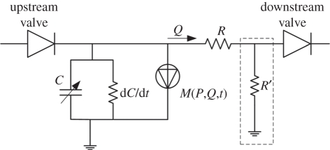 Figure 5.