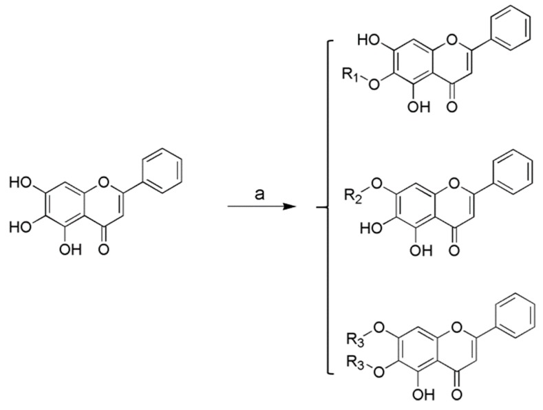 Scheme 1