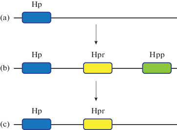 Fig. 1. 