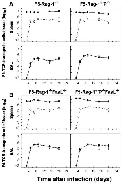 FIG. 6.