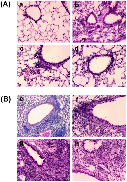 FIG. 8.