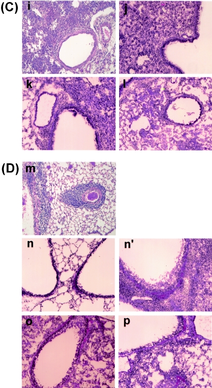 FIG. 8.