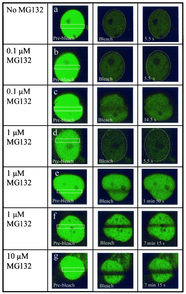 FIG. 6.