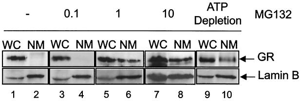 FIG. 7.