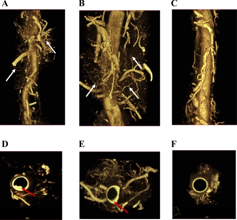 Fig. 6.