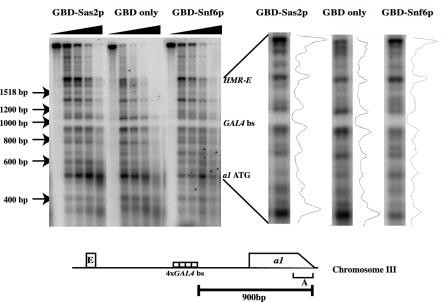 FIG. 5.