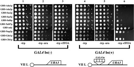 FIG. 4.