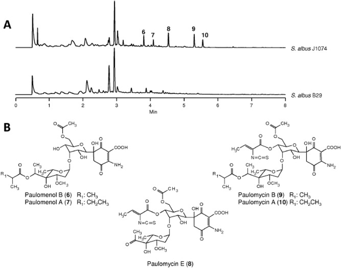 Figure 5