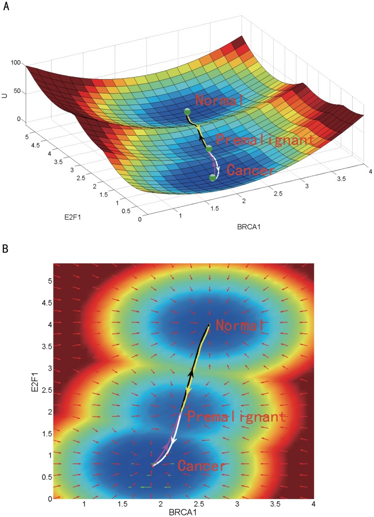 Fig 2