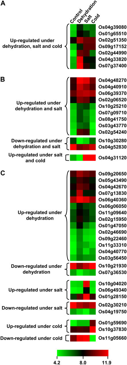 Figure 7.