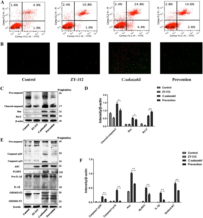 FIG 4