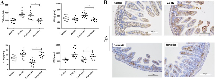 FIG 3