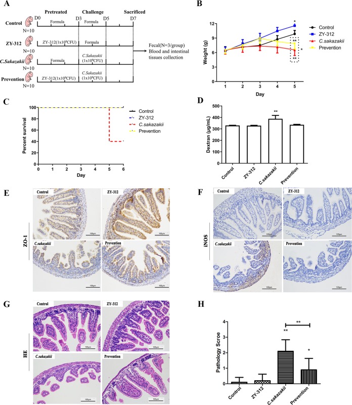 FIG 2