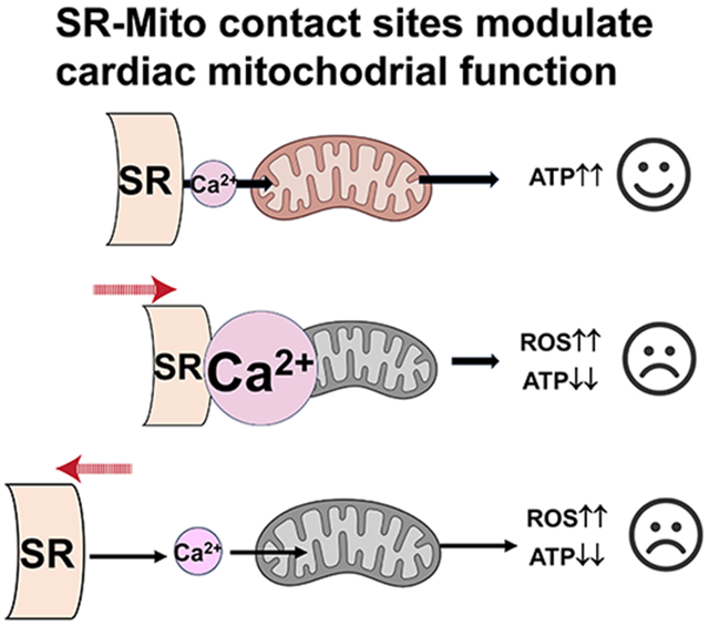 graphic file with name nihms-2097742-f0001.jpg