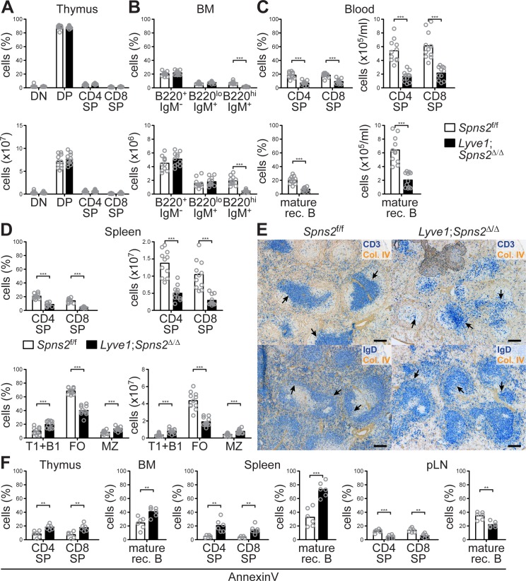 Figure 1—figure supplement 2.