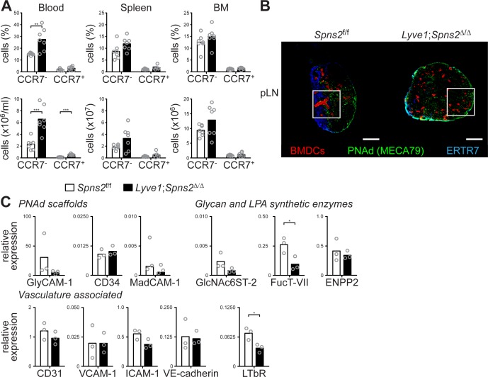 Figure 3—figure supplement 1.