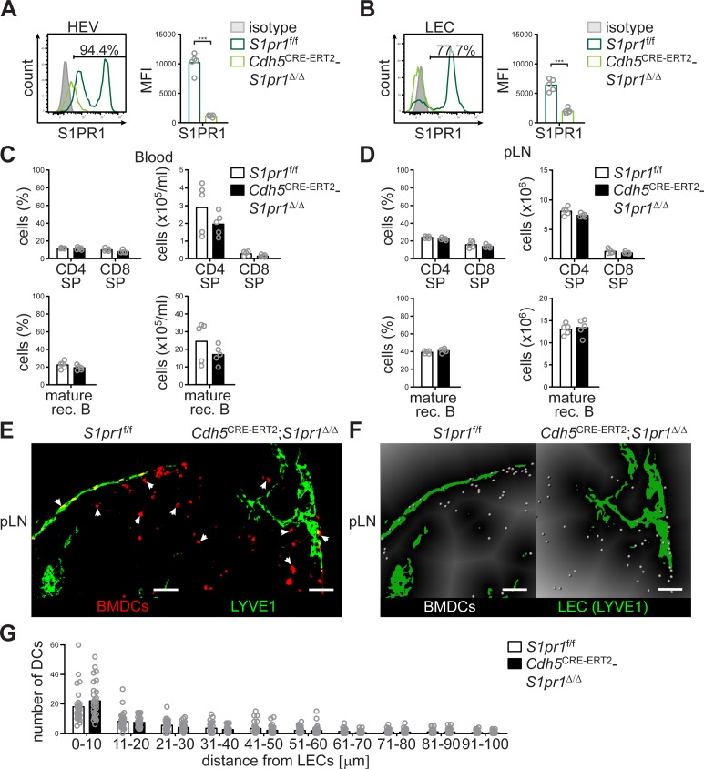 Figure 6—figure supplement 1.