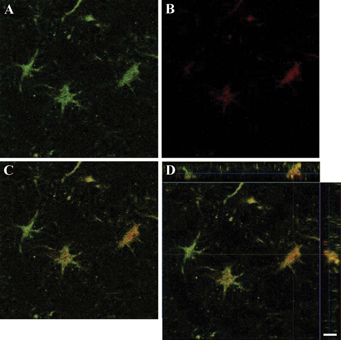 Figure 3.