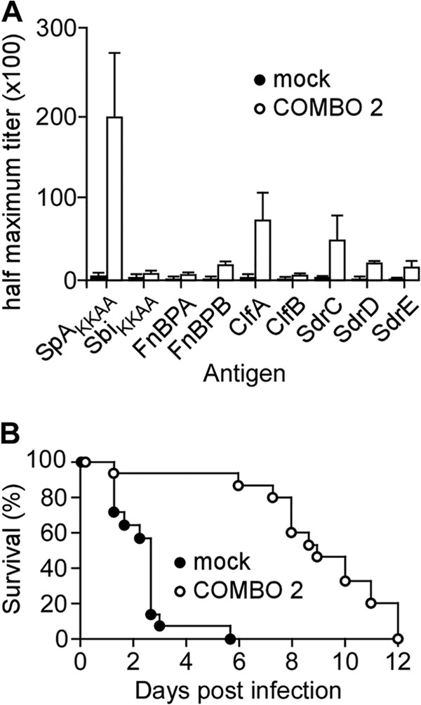 FIG 5