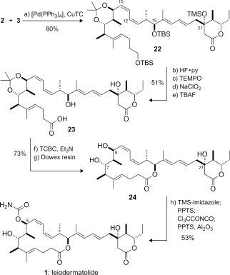 Scheme 4