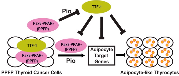 FIGURE 10.