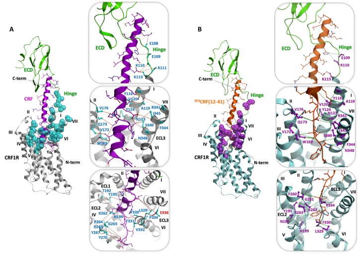 Figure 5—figure supplement 1.