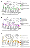 Figure 2—figure supplement 1.