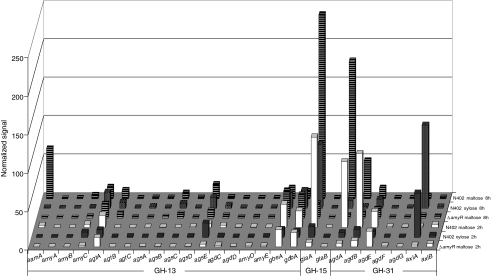 Fig. 2