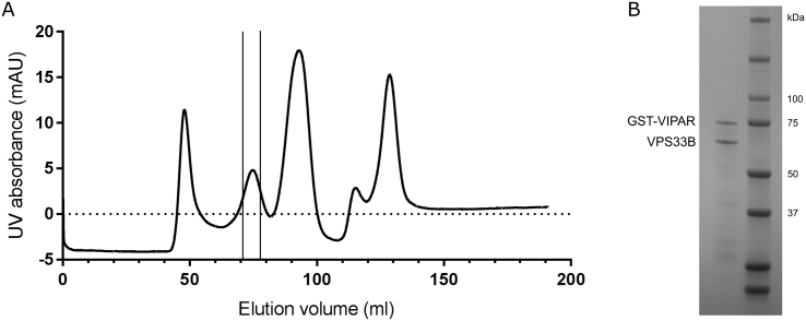 Fig. S2