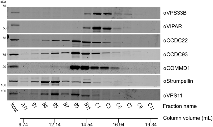 Fig. S4