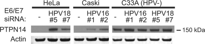 FIG 2 