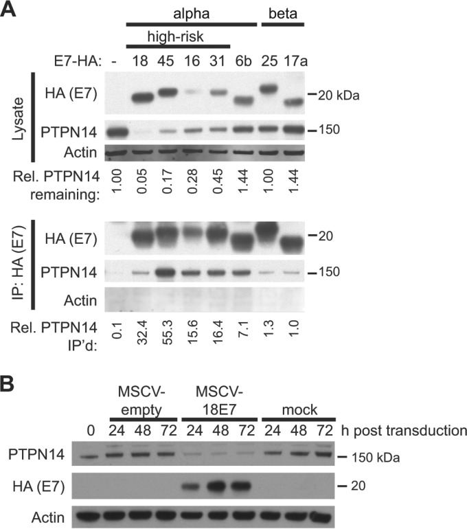 FIG 1 