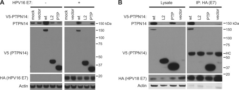 FIG 4 