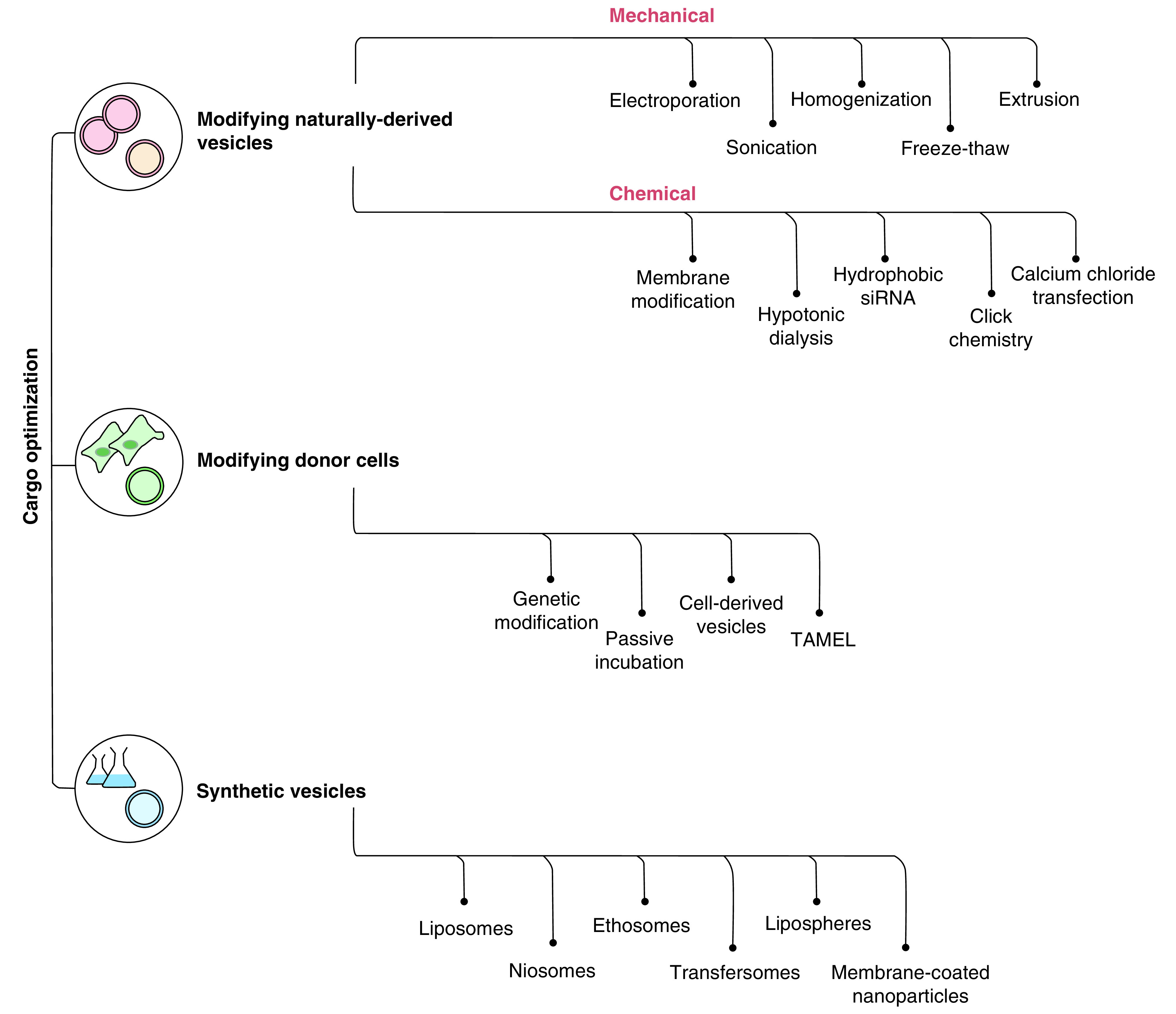 Figure 3. 